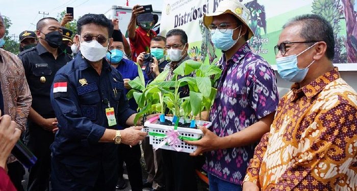 Mentan Dorong Masyarakat Sumbar Genjot Produktivitas Pertanian