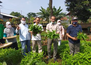 Peran Pertanian Keluarga untuk Ketahanan Pangan Nasional