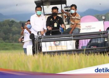 BPS Sebut Ekspor Pertanian Maret 2021 Meningkat Dua Digit