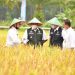 Di Sumsel, Mentan SYL Panen dan Gerakan Serap Gabah