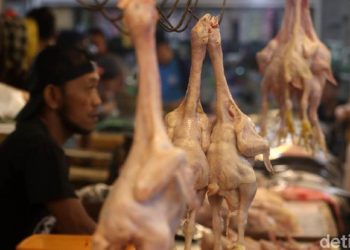 Dua Hari Jelang Ramadhan Harga Ayam dan Telur Naik