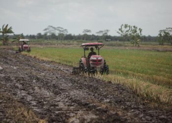 RNI: Holding Pangan Terbentuk Kuartal III Tahun Ini