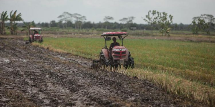 RNI: Holding Pangan Terbentuk Kuartal III Tahun Ini