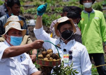 Kementan Jaga Strategi  Produksi dan Pengendalian Pangan