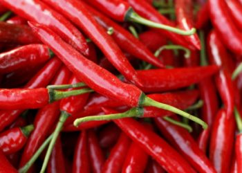 Kementan Pastikan Harga Cabai Segera Stabil