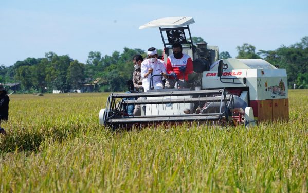 Mentan, Komisi IV dan Bulog Gelar Panen Raya di Karawang