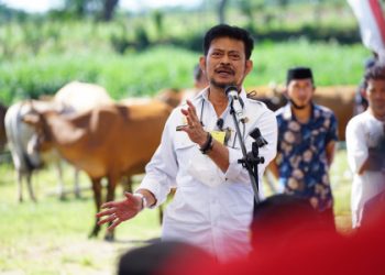 Mentan Dorong Jeneponto Jadi Sentra Pertanian dan Peternakan Berkualitas