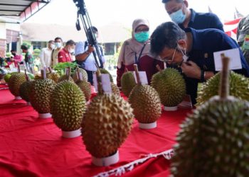 Mentan SYL : Riset dan Inovasi Berkelanjutan, Pondasi Pembangunan Pertanian