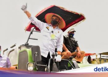 Panen Raya di Sumsel, Mentan Minta Bulog Serap Gabah Petani