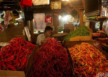 Pengamat Pangan IPB Sebut Fluktuasi Harga Cabai Siklus Musiman