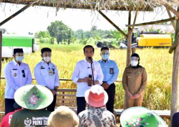 Presiden Jokowi Senang Produktivitas Padi Tinggi dan Harga Gabah Petani Naik