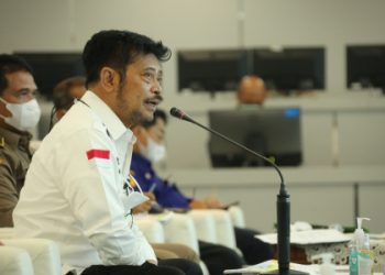 Stabilkan Harga Gabah, Kementan Gelar Rakor Bersama Stakeholder dan Kepala Dinas Se-Indonesia