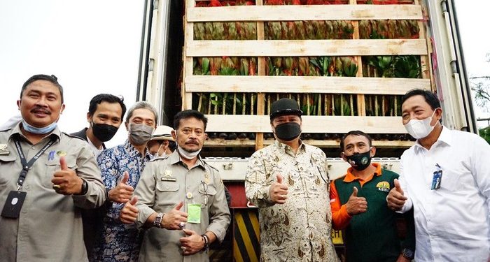 Airlangga-Mentan lepas ekspor tanaman hias dari Bogor Rp 70 M
