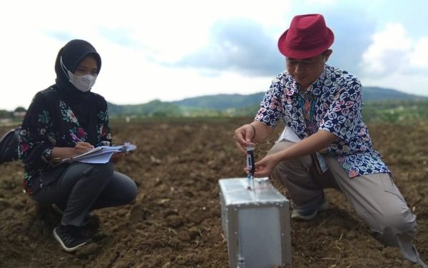 Ini Cara Kampung Sayuran di Bantul Terapkan Budidaya Ramah Lingkungan