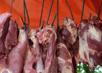 Kementan jamin stok daging sapi untuk Lebaran aman
