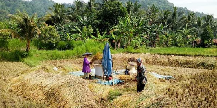 Sektor Pertanian Diramal Tumbuh Positif di Kuartal II-2021