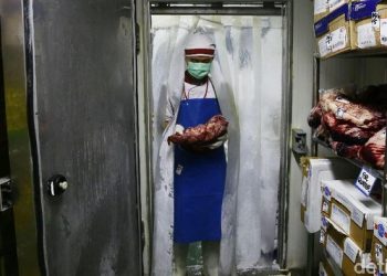 Kemendag ketar-ketir pengiriman daging Kerbau india ke RI mandek