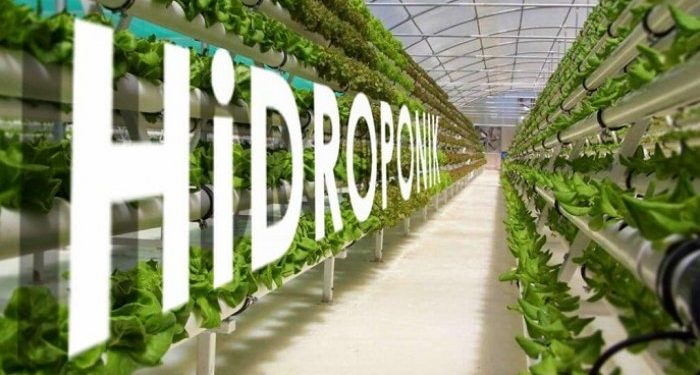 Sudin KPKP Jak-Bar adakan kursus pelatihan hidroponik