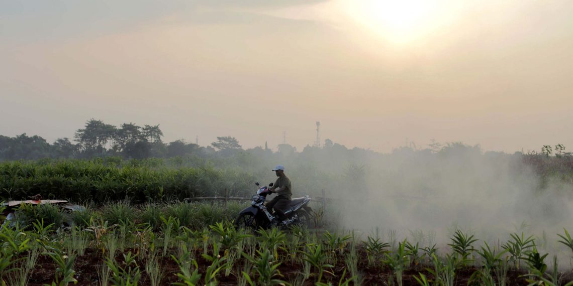 Kementan harap Holding BUMN Pangan mudahkan koordinasi perencanaan