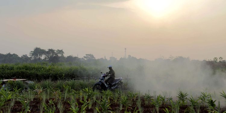 Kementan harap Holding BUMN Pangan mudahkan koordinasi perencanaan