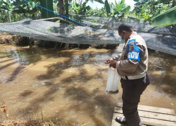 Dukung ketahanan pangan, Polda Kalteng tabur benih ikan di Pulau Petak