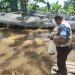 Dukung ketahanan pangan, Polda Kalteng tabur benih ikan di Pulau Petak