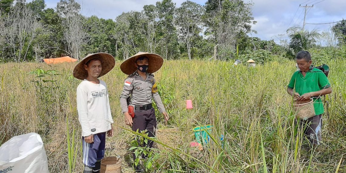Polisi Cek lahan ketahanan pangan di desa Sepandan