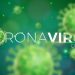 covid-19 virus corona