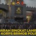 Sejarah Singkat Lahirnya Korps Brimob Polri
