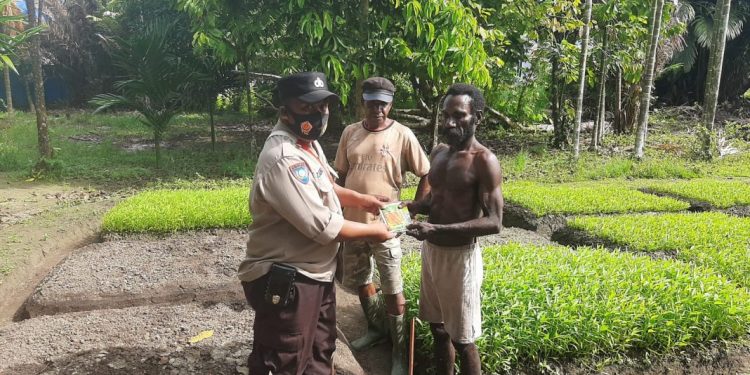 eduli Akan Petani Binaannya, Personel Binmas Noken P