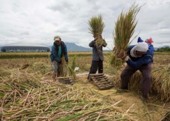 Populer Ekonomi: Presidensi G20 hingga Ketahanan Pangan Wajib Jadi Isu Sentral