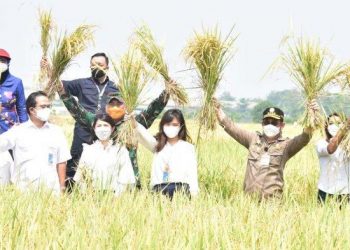 Tunjukkan Kinerja Positif saat Pandemi Politisi Demokrat di DPR Nilai Mentan SYL Sukses Jaga Pangan.