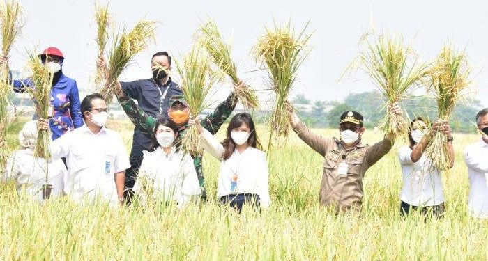 Tunjukkan Kinerja Positif saat Pandemi Politisi Demokrat di DPR Nilai Mentan SYL Sukses Jaga Pangan.
