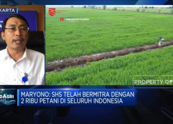 Ambisi BUMN Pangan Gencarkan Produksi Beras Lewat Bibit Hibrida