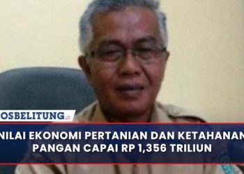 Perputaran Nilai Ekonomi Pertanian dan Ketahanan Pangan Belitung Capai Rp 1,356 Triliun