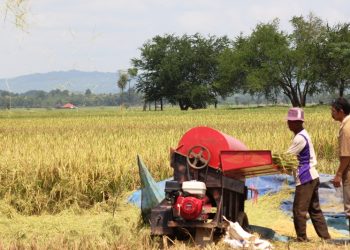 Program LDPM Solusi Rawan Pangan di Jatigede