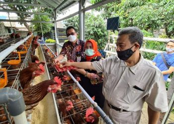 Kementan Kembangkan Pertanian Terpadu Melalui Program P4S