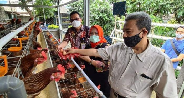 Kementan Kembangkan Pertanian Terpadu Melalui Program P4S