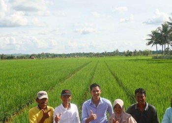 Pemuda Tani Indonesia: Badan Pangan Nasional Harus Dapat Sejahterakan Petani