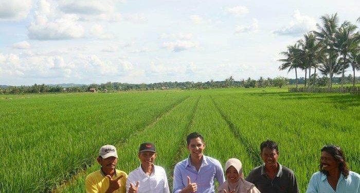 Pemuda Tani Indonesia: Badan Pangan Nasional Harus Dapat Sejahterakan Petani