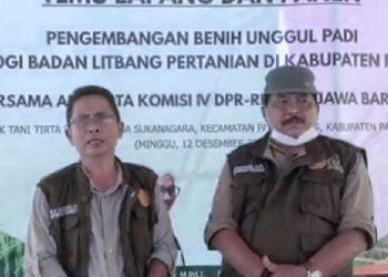 Petani di Pangandaran Berhasil Panen Benih Padi di Luar Musim