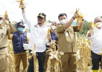 Mentan Dorong Pengembangan Kawasan Integrated Farming Jagung di Wajo