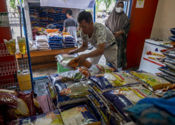 Masih Proses Pembentukan, Bapanas Bakal Pegang Kendali Penuh Perum Bulog