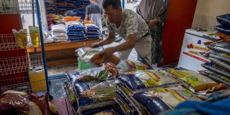 Masih Proses Pembentukan, Bapanas Bakal Pegang Kendali Penuh Perum Bulog