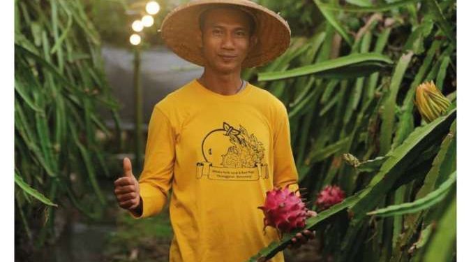 Kisah Sukses Petani Banyuwangi Raup Omzet Ratusan Juta Rupiah Berkat Listrik PLN