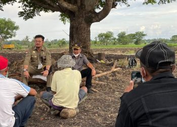 Kunjungi Jeneponto, Mentan SLY Dialog Hangat dengan Petani di Persawahan