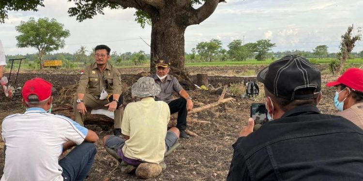 Kunjungi Jeneponto, Mentan SLY Dialog Hangat dengan Petani di Persawahan