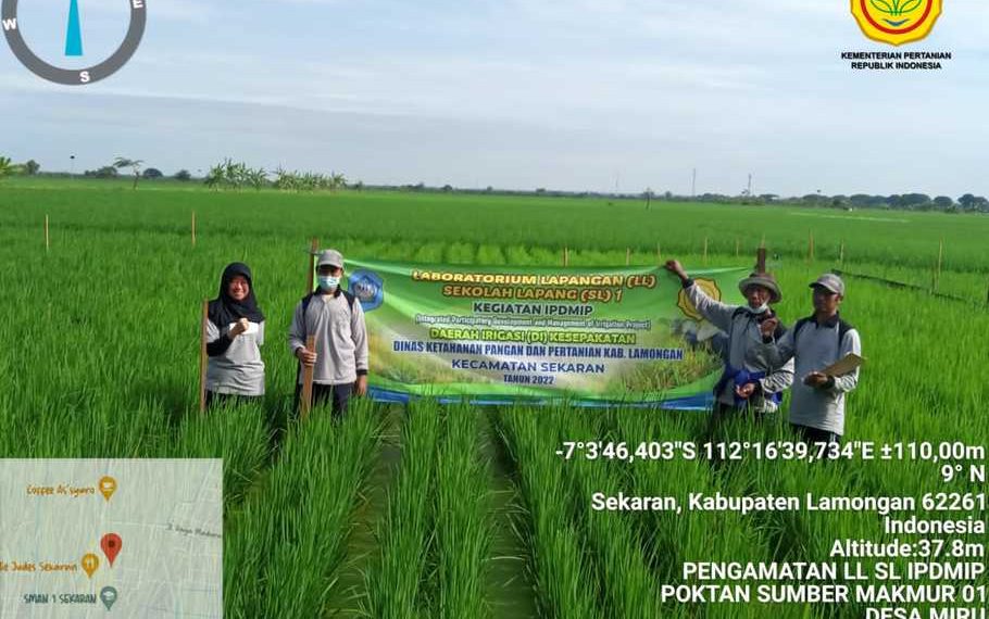 Kementan Ajak Petani Amati Organisme Pengganggu Tanaman