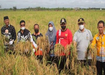 Maksimalkan Lahan Pertanian, Desa Sei Pasir Ajak Petani Tetangga Ikut Bertani
