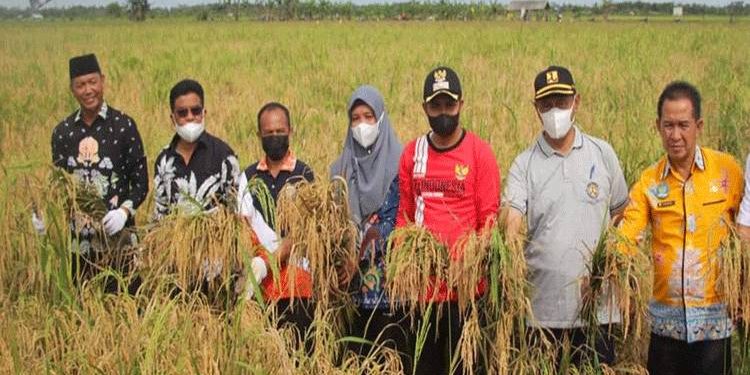 Maksimalkan Lahan Pertanian, Desa Sei Pasir Ajak Petani Tetangga Ikut Bertani